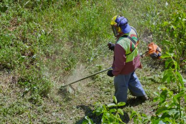 Sıcak bir yaz gününde, takım elbiseli bir bahçıvan ve miğfer manuel çim biçme makinesiyle kalın çimleri biçer..