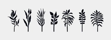 Botanik çiçek seti. Soyut minimalist çiçek koleksiyonu, yaratıcı bitkisel sanat. Vektör illüstrasyonu