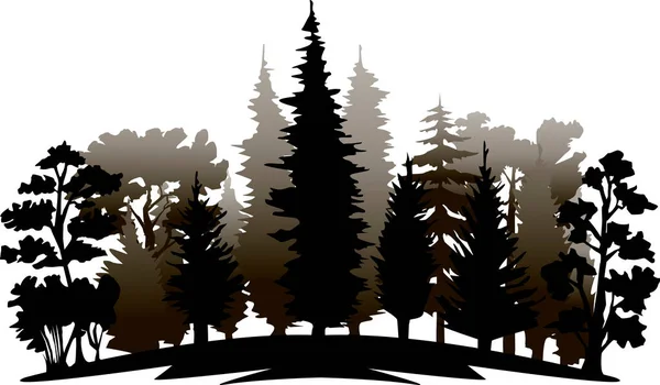 云雾中森林轮廓的黑白图像的矢量图 — 图库矢量图片