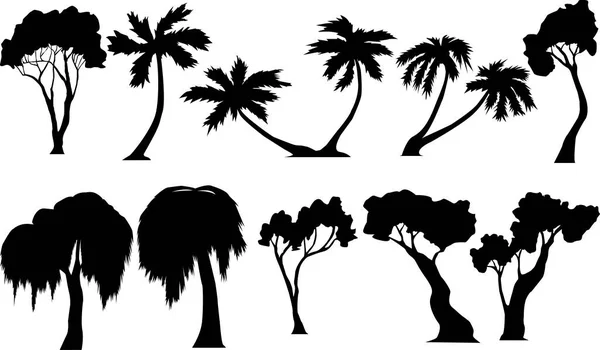 Set Vector Images Silhouettes Various Trees — Stock Vector