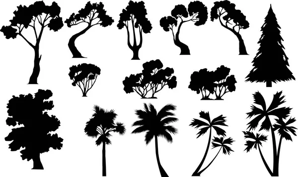 Set Vector Images Silhouettes Various Trees — Stock Vector