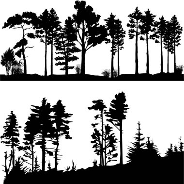 Bir grup ağaç silueti.