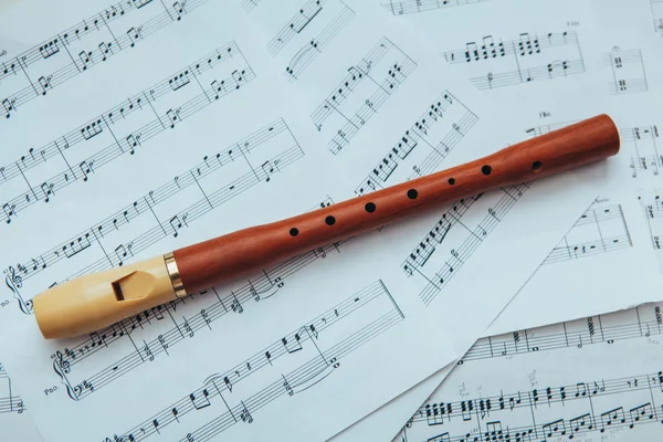 Recorder and mucis notes Royalty Free Stock Images