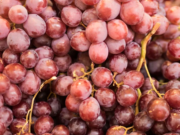 Bunches of grapes on display at market — Stock Photo, Image