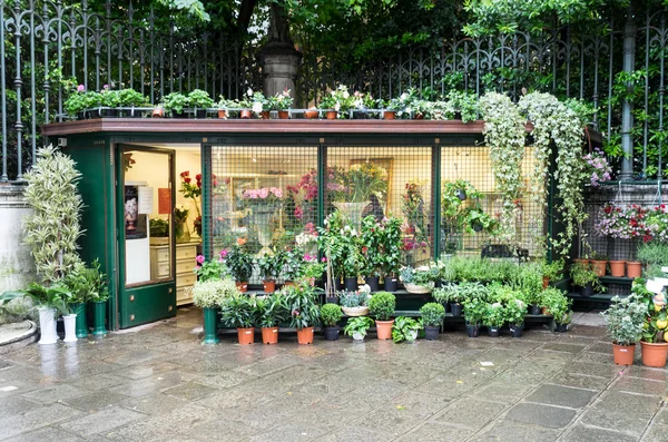 Venedig - 22 maj 2105: plantera shop i bakgator i V Stockbild