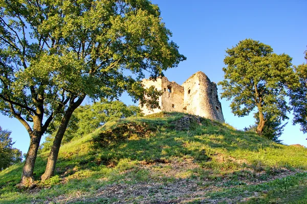 Zřícenina hradu s ohledem na letní večer Stock Obrázky
