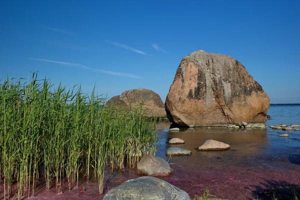 Baltık kıyıları, Lahemaa Milli Parkı, Estonya
