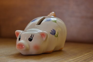 Para domuz, kumbara boyalı Porcelaine
