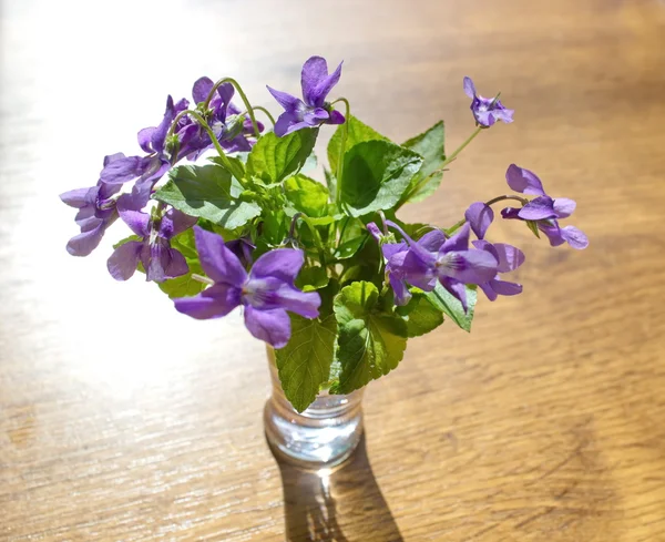 Bouquet av fioler i vase – stockfoto