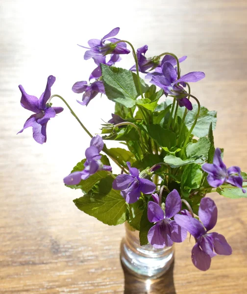 Bouquet av fioler i vase – stockfoto