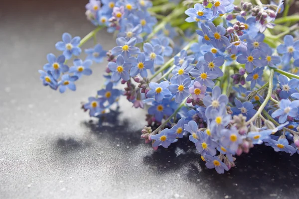 Forget me nots lying on the table — Stock Photo, Image