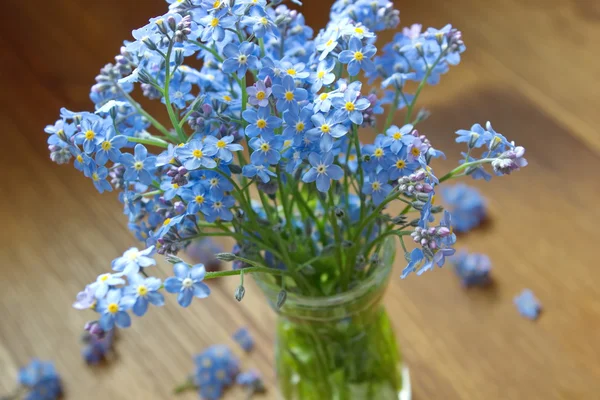 Forget me nots in the vase — Stock Photo, Image