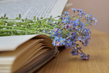 Açık kitap üzerine yalan fakirler unut beni