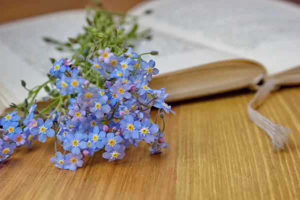 Forget me nots lying on the open book — Stock Photo, Image