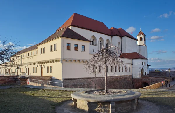 Spilberk slott om kvelden, Brno, Tsjekkia – stockfoto