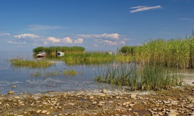 reed islands and boats on Peipsi lake, Estonia clipart