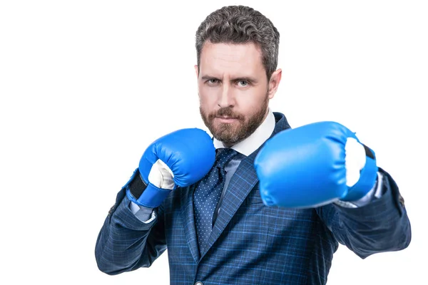 Fight Boss Wear Boxing Gloves Standing Fighting Position Business Rivalry — Stock Photo, Image