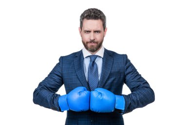 Seni bayıltacağım. Ciddi patron boks eldiveni giyer. Boks yarışması. İş rekabeti. Rekabetçi antrenman. Meydan okuma.