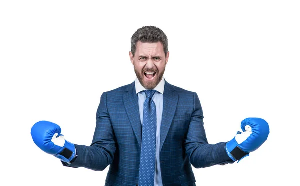 Hombre Negocios Gritando Enojado Traje Guantes Boxeo Aislados Blanco Ira — Foto de Stock