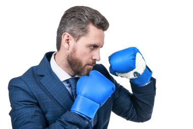 Konsantrasyon. Acımasız mücadele ve başarı. Kendine güvenen adam şirket savaşına hazır. İşletme nakavtı. Patron güç ve otorite göster. Boks eldivenli iş adamı. Yumruk. Başarılı CEO boksörü