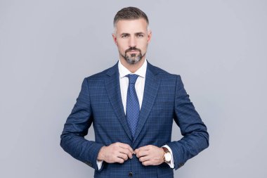 Olgun hırslı iş adamı takım elbiseli adam saçları boz, iş başarısı var..