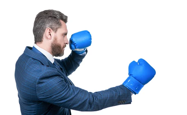 Confident Businessman Man Suit Boxing Gloves Punching Isolated White Boxer — Stock Photo, Image