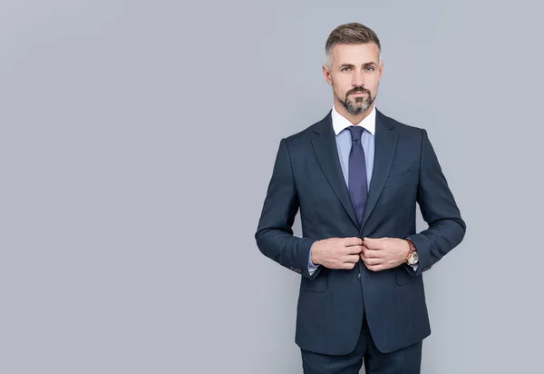 Resmi takım elbiseli, resmi kıyafetli, gri saçlı olgun patron.