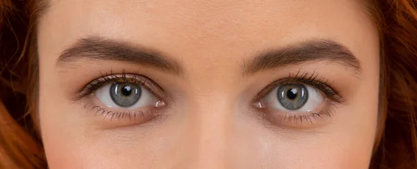 Bellissimi occhi femminili con sopracciglia arcuate e trucco naturale degli occhi, vista — Foto Stock