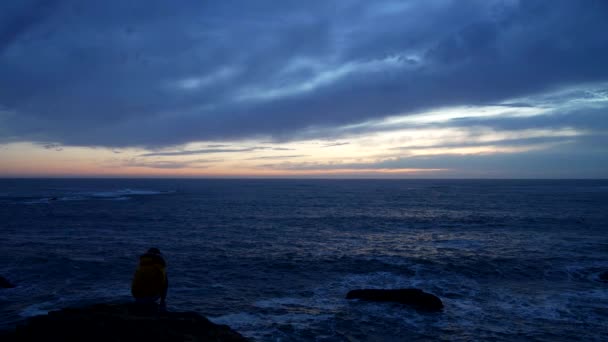 Dziewczyna w kurtce korzystających pogoda faliste morze z dramatyczne niebo, człowiek i natura — Wideo stockowe