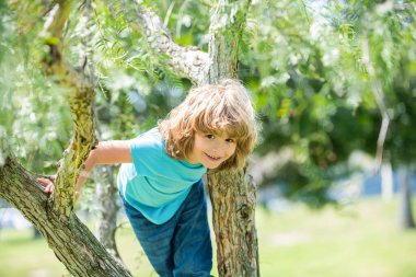 Ağaçlara tırmanmak her zaman eğlencelidir. Aktif çocuk ağaca tırmanır. Çocukluk eğlencesi. Yaz etkinlikleri