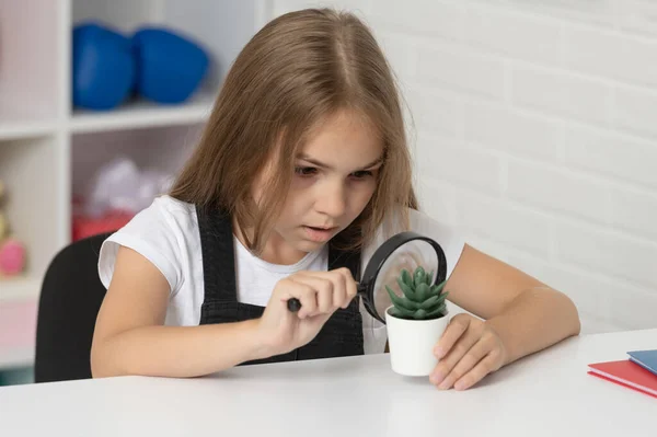Concentrado adolescente chica mirando a la planta a través de lupa, conocimiento — Foto de Stock