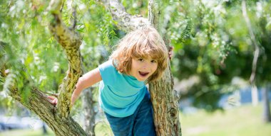 Mutlu enerjik çocuk yazın ağaca tırmanıyor, ağaca tırmanıyor.