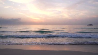 Deniz manzarası akşamları okyanus üzerinde kuşlarla ve gemiyle parlar, yaz mevsiminde.