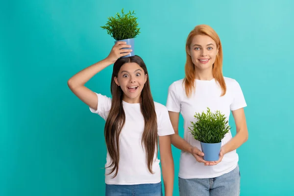 Familie aus Mutter und überraschtem Kind hält Topfpflanze auf dem Kopf, um größer zu werden — Stockfoto