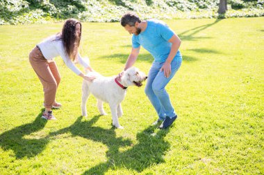 Yeşil park çimlerinde birbirine aşık genç bir çift. Dost canlısı bir aile eğleniyor.