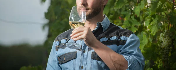 Levágott sommelier. A gazdák bort isznak. Egészségedre. Vinedresser ivás. férfi szőlőültetvény tulajdonosa. — Stock Fotó