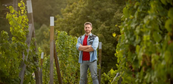 Confident vinedresser standing at winery farm, vintner — Stock Photo, Image