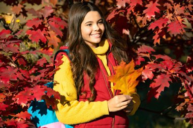 Sonbahar yapraklarında sırt çantalı neşeli çocuk.