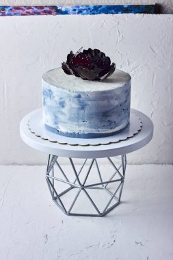 Çikolatalı ve fındıklı kek.