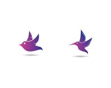 Hummingbird logo şablonu vektör resimleme tasarımı