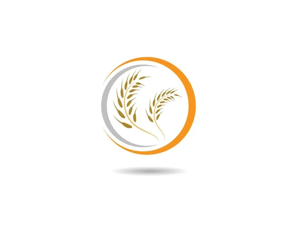 Agriculture Wheat Logo Template Vector Icon Design — Stock Vector