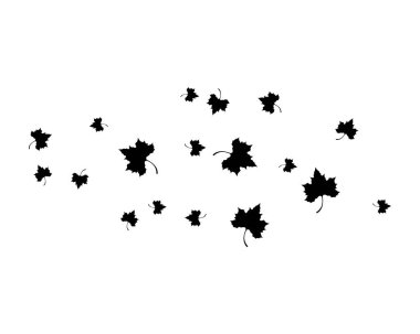 Akçaağaç yaprağı vektör resimleme tasarımı