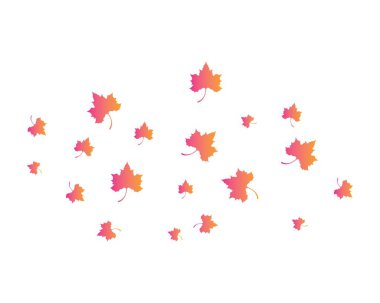 Akçaağaç yaprağı vektör resimleme