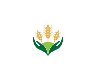 Tarım buğday logosu vektör ikonu tasarımı 