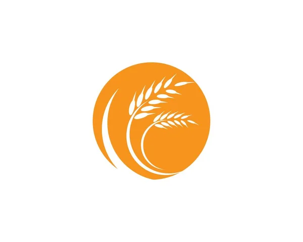 Agriculture Wheat Logo Template Vector Icon Design — Stock Vector