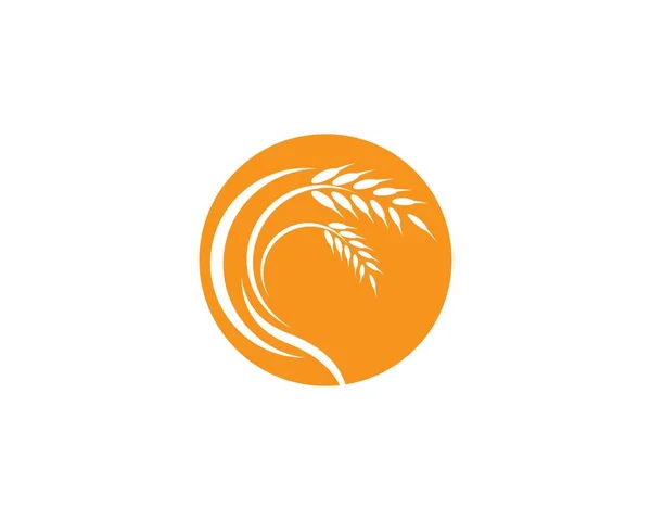 Agriculture Wheat Logo Template Vector Icon Design — Stock Vector