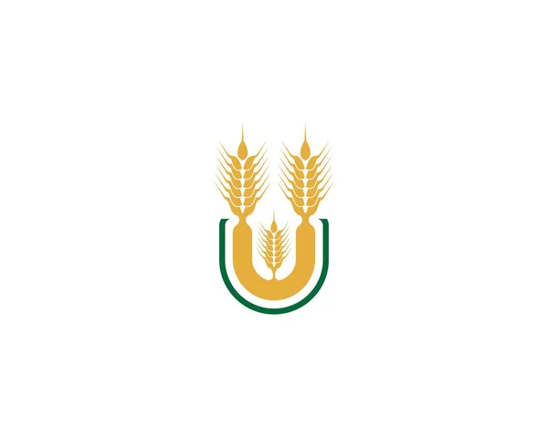 Rolnictwo Pszenica Logo Wzór Wektor Ikona Projekt — Wektor stockowy