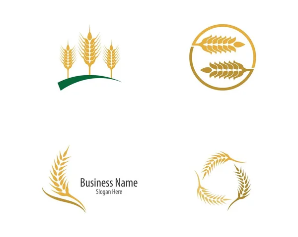 Agriculture Wheat Logo Template Vector Icon Design — Stock Vector