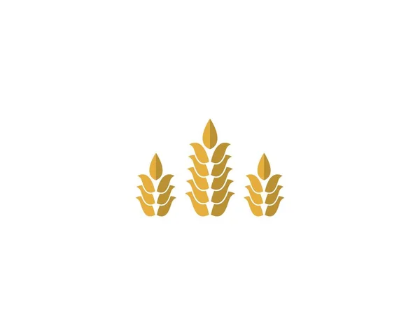 Agricultura Trigo Logotipo Plantilla Vector Icono Diseño — Vector de stock