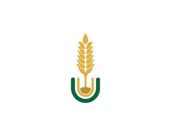 Agricultura Logotipo Trigo Modelo Vetor Ícone Design — Vetor de Stock